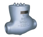 Cast check valve